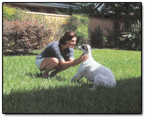 Women and a greyhound looking at each other.